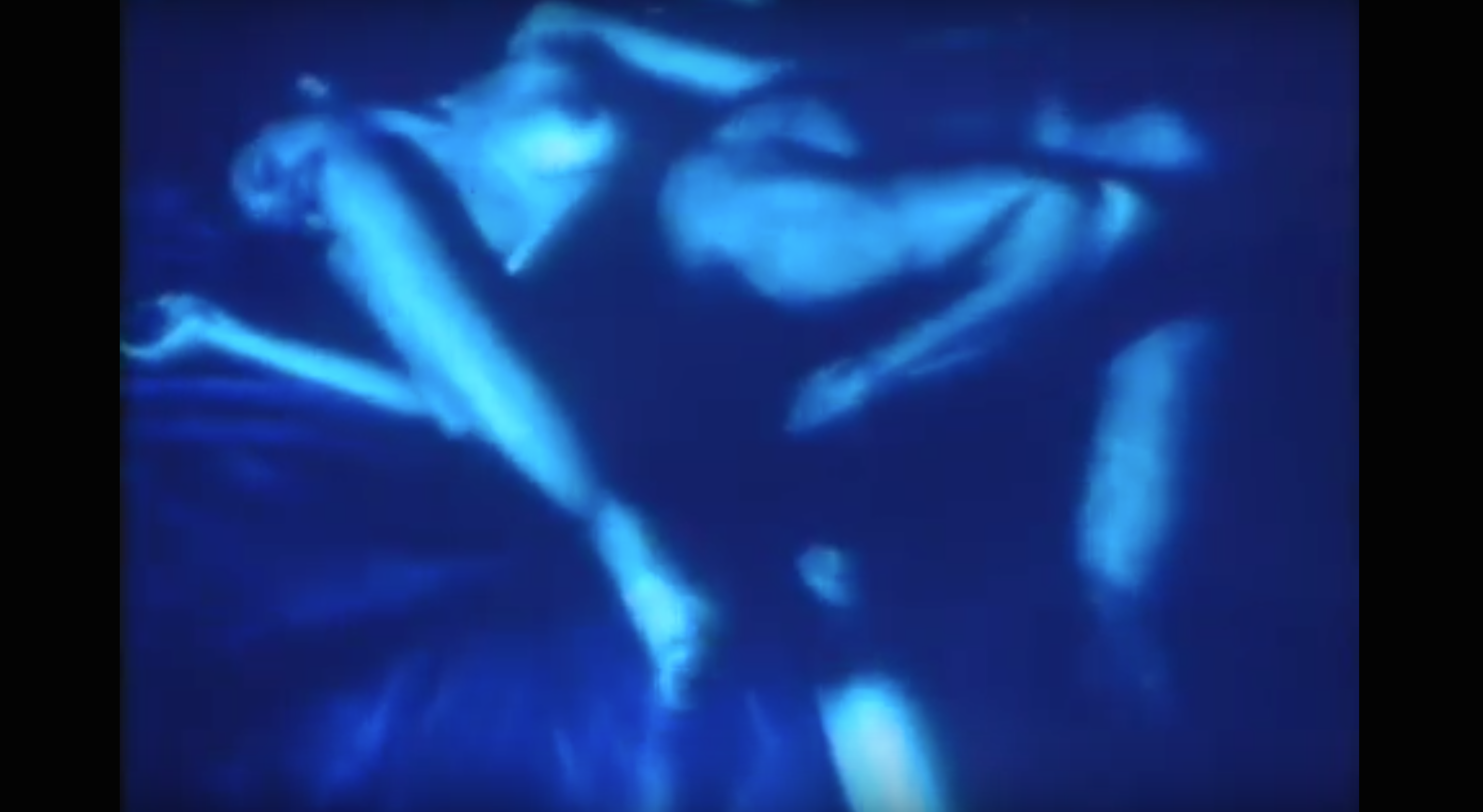 Carolee Schneemann Fuses